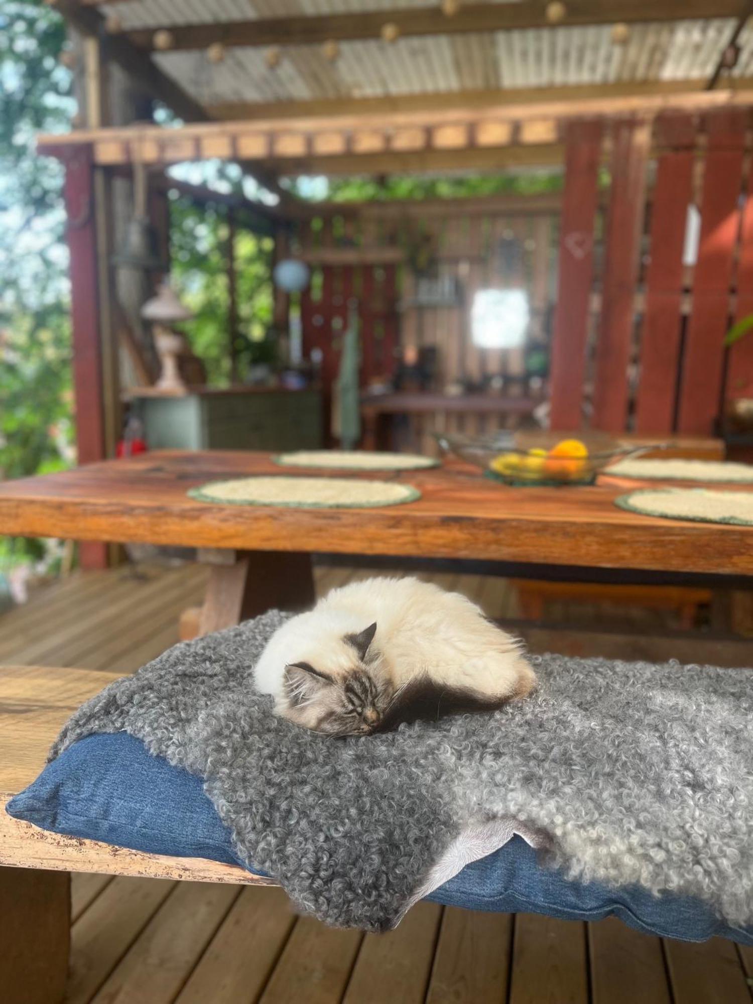 Glamping * Gränna